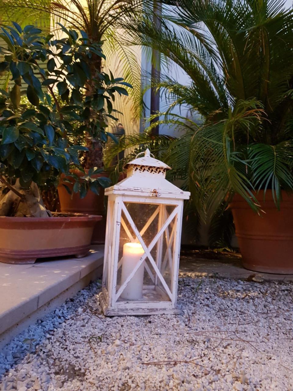 Hotel La Primula Forte dei Marmi Exterior photo